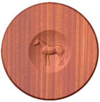 Quarter Horse   